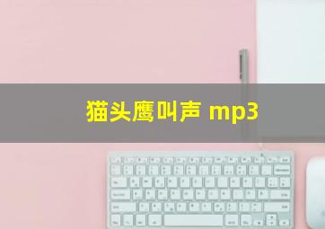 猫头鹰叫声 mp3